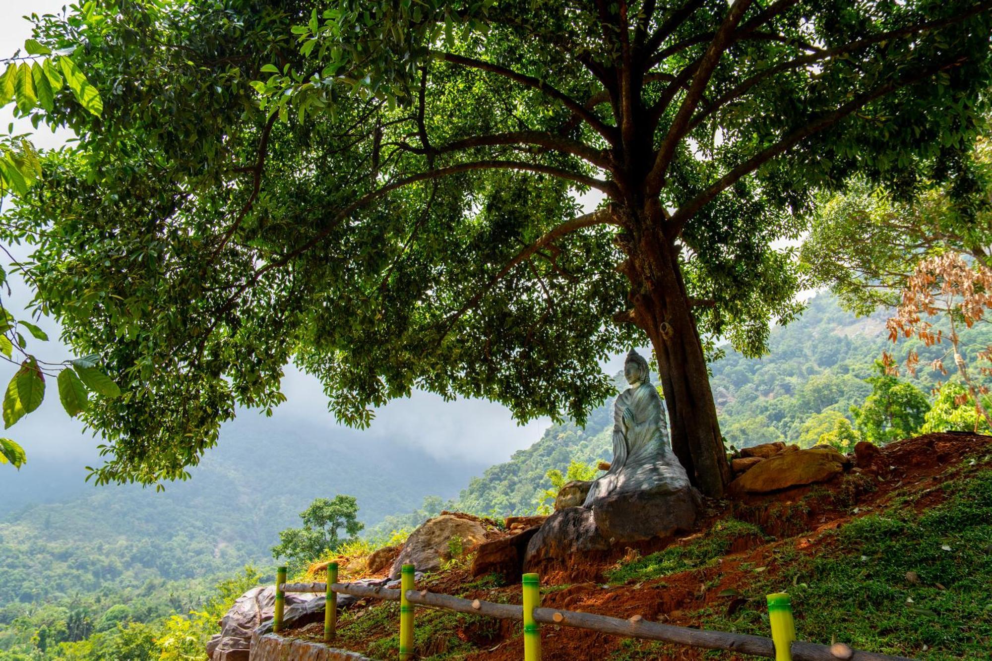 Karimb Resorts Vallikavungal Екстер'єр фото